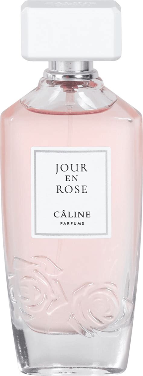 caline parfum rose